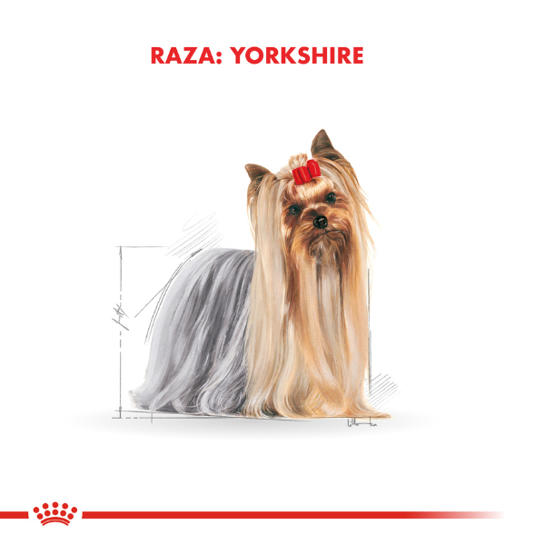 Royal Canin Yorkshire Terrier Adulto - Imagen 3