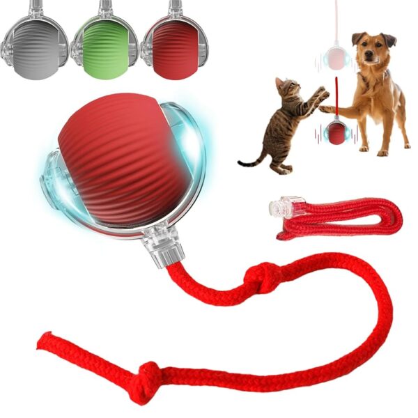 Juguete Para Gatos Pelota Con Cuerda Interactiva Inteligente - Image 2