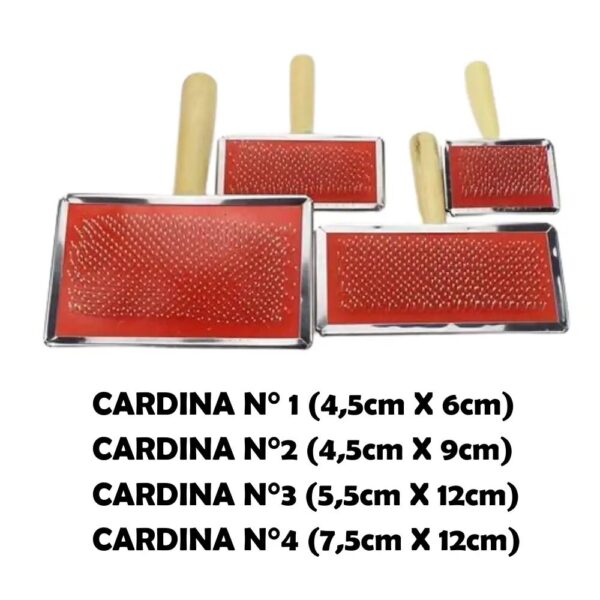Cardina mango Madera - Image 4