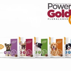 Power Gold 1 mes
