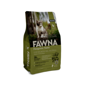 Fawna Gato Kitten