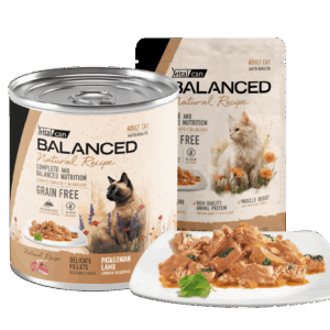 Pouch Balanced Natural Recipe gato