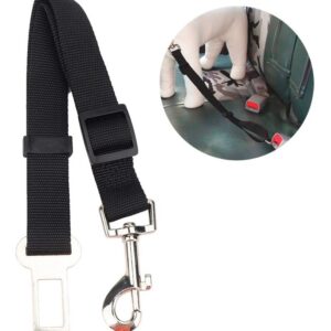 Cinturón de seguridad para perro