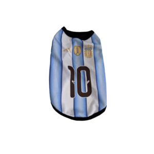 Camisetas de Argentina