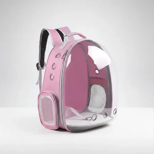 Mochila transparente - Imagen 2